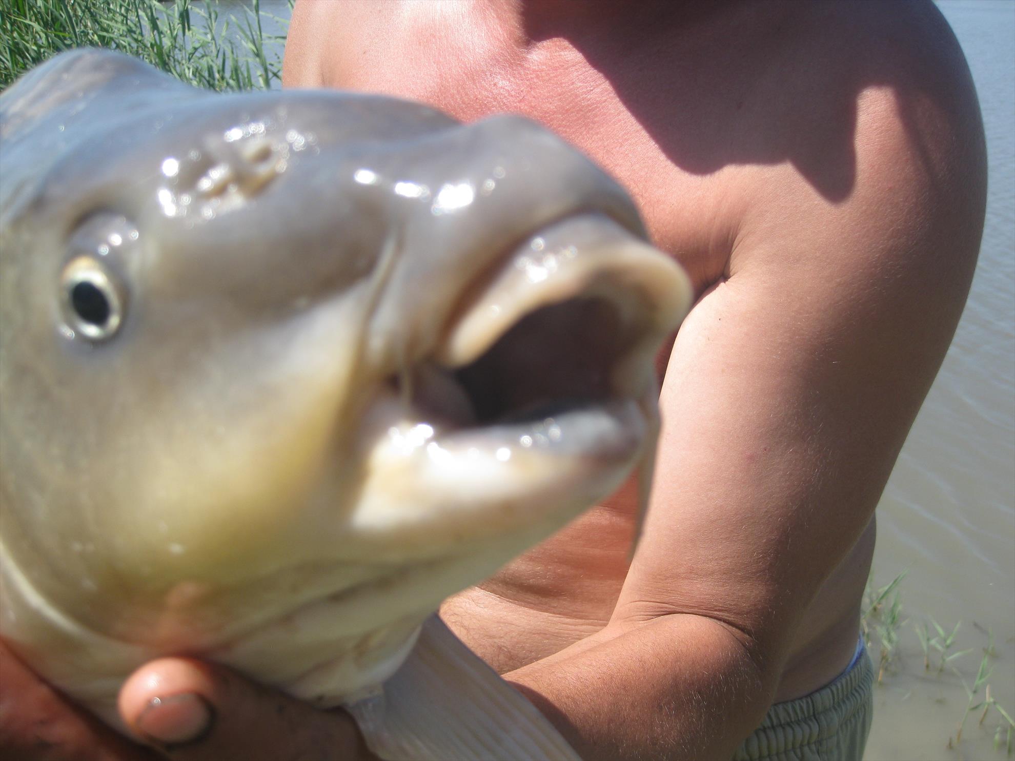 Derek 3 - img0154.JPG